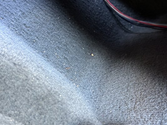 Close-up of freshly vacuumed gray vehicle carpet